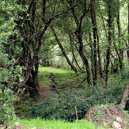 A Calzada * Cedeira