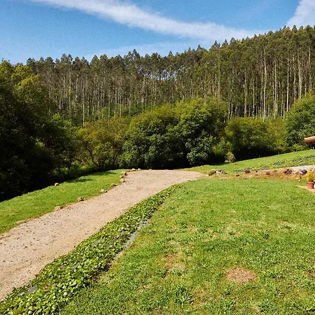 A Calzada Cedeira
