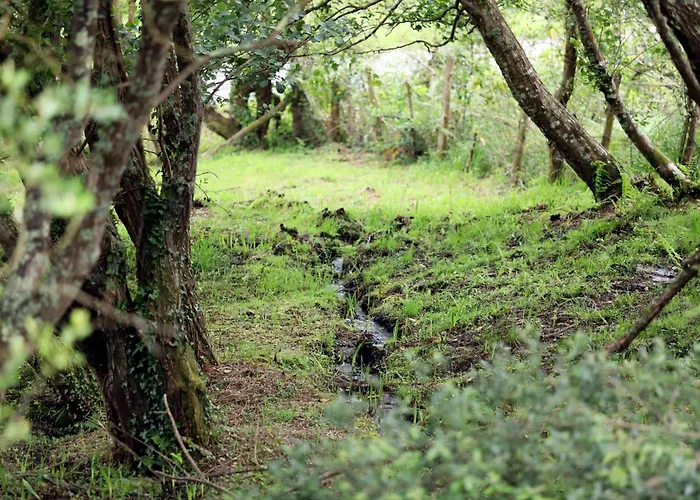 A Calzada Tatil Evi *